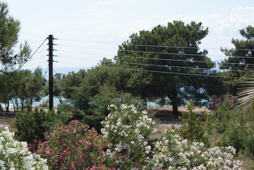Hotel Proteas Órmos Prínou Dış mekan fotoğraf